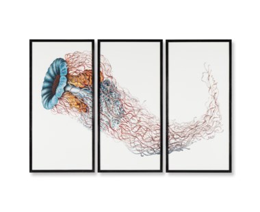 Jelly Fish TriptychMedusa